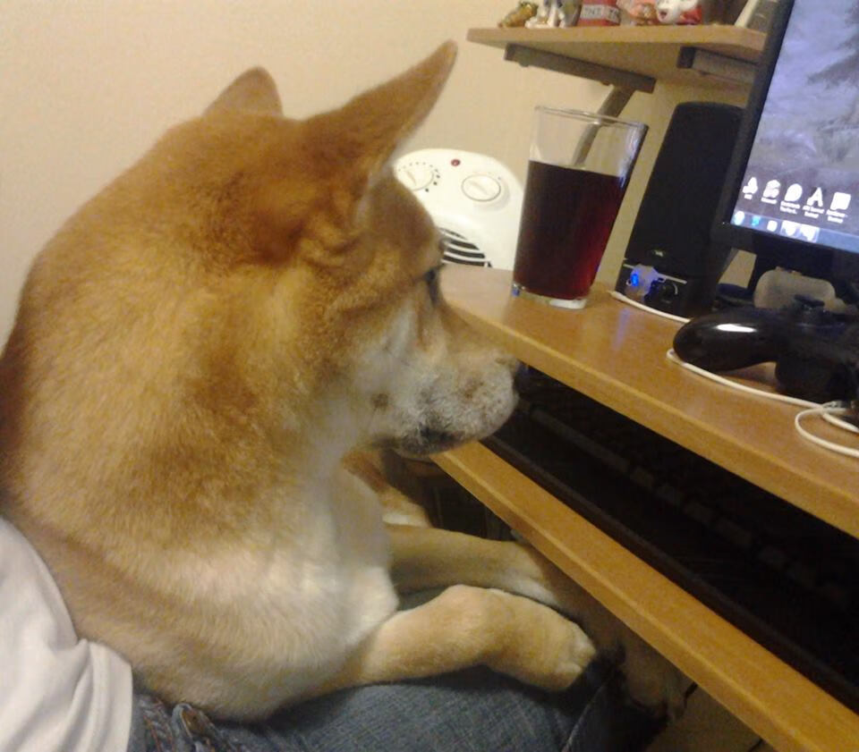 kaiyun体育app-外教管理与本土文化融合挑战，外教体系