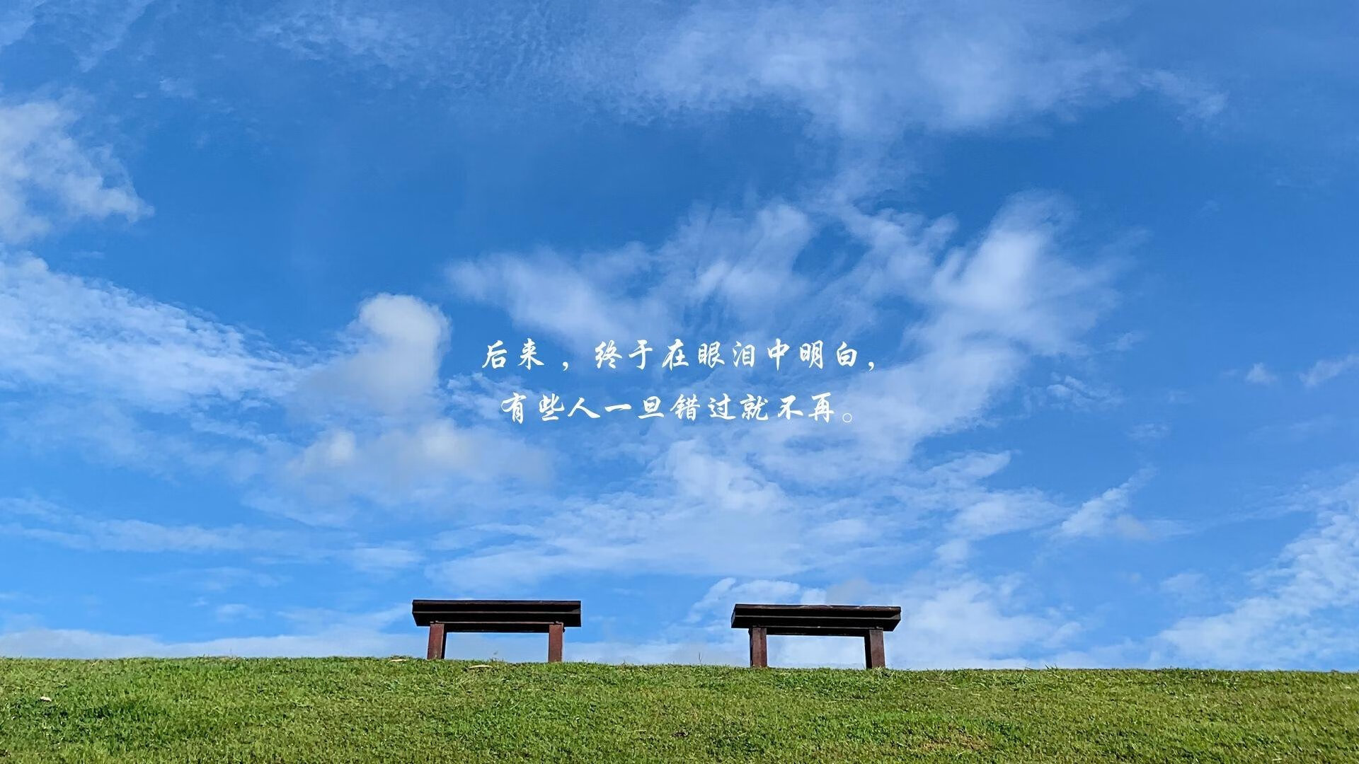 布莱顿中场衔接紧密提高攻防质量，布莱顿主场叫什么