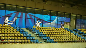 开云体育官网下载安装-澳大利亚队未来如何利用青训体系打造新一代乒乓巨星，澳大利亚乒乓球