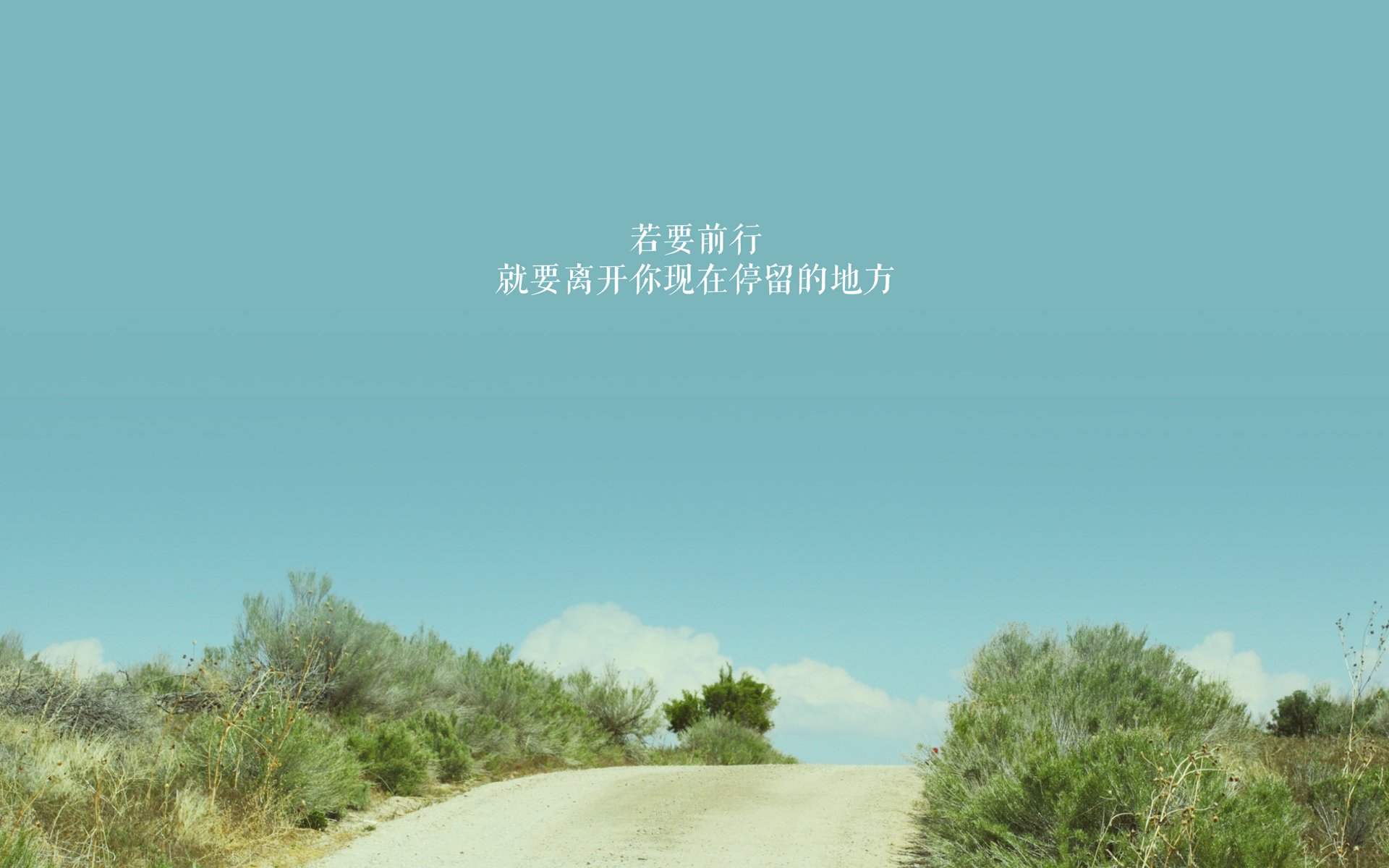 “马科斯·梅特罗的全场防守表现，为阿根廷美洲狮队筑起钢铁防线”