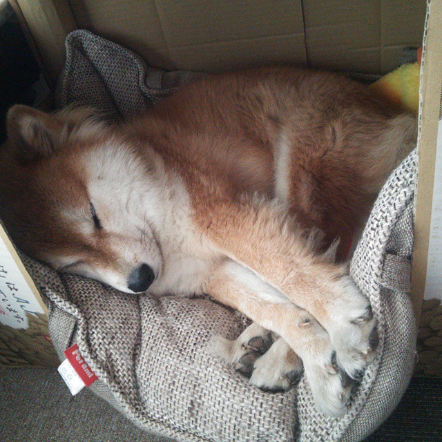 中国篮球推动体育与教育深度融合促进综合发展，篮球体育产业的认识