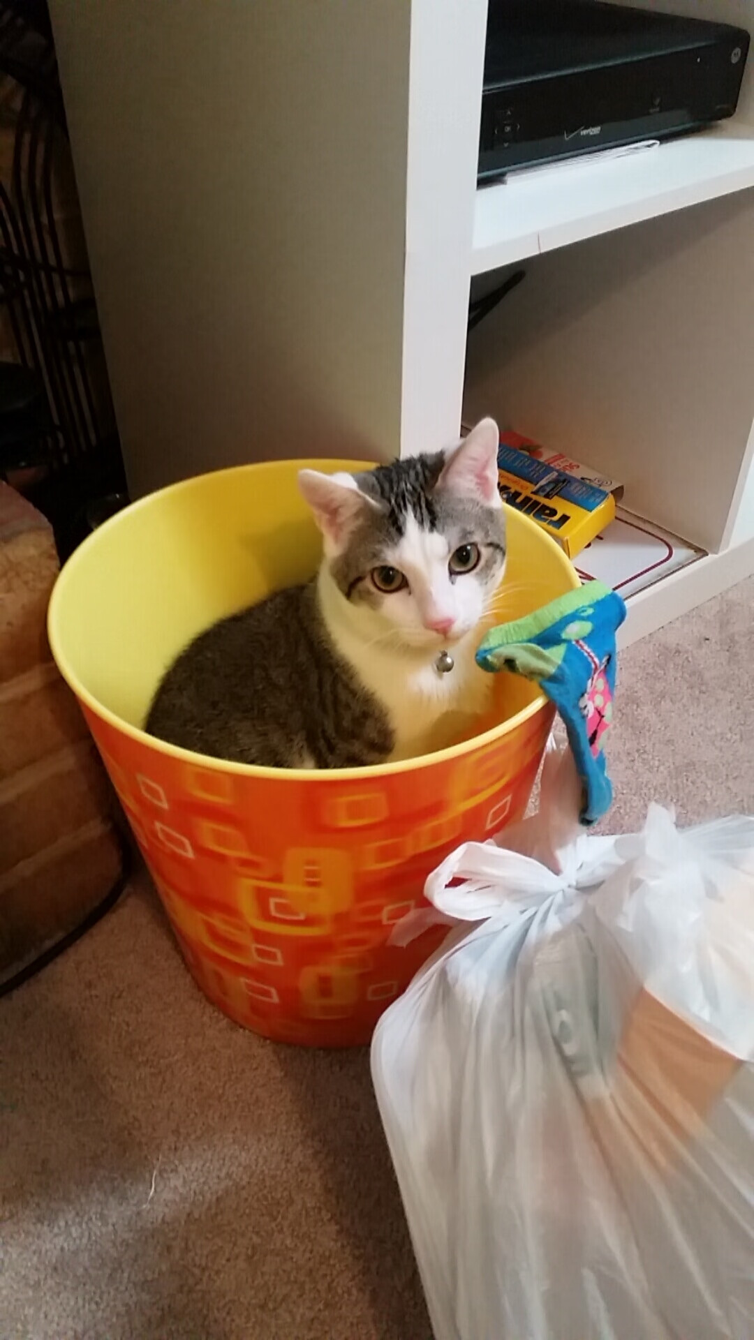 中国女篮斩获亚锦赛冠军，中国女人蓝球亚锦赛