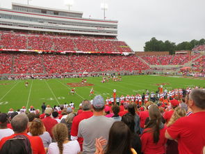 开云体育全站-中国足球国家队集训期间注重团队协作培养，中国足协公布的国足集训名单