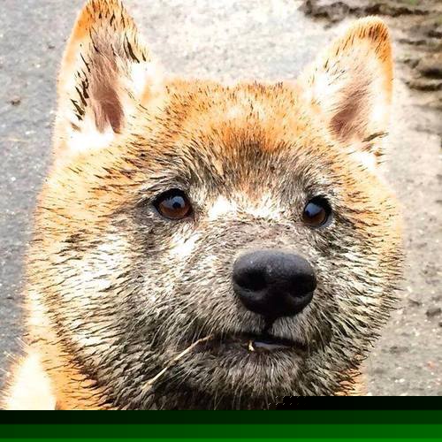 乌拉圭国家队士气高昂，期待在国际赛事中夺冠