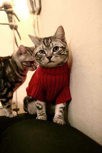 开云体育-乌拉圭女篮在南美锦标赛中夺冠，篮球运动迈入新纪元，2020乌拉圭篮球联赛积分榜