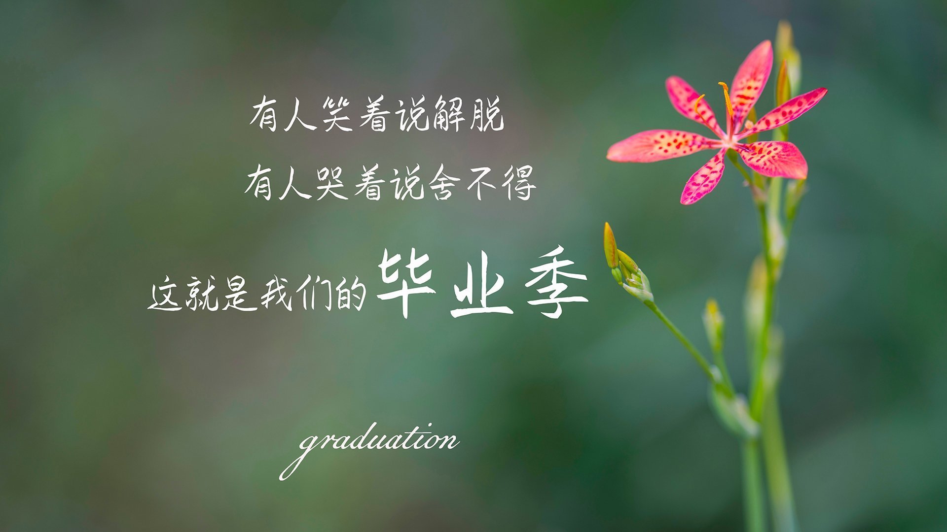 俱乐部与知名体育品牌续约推动双方品牌联动深度合作,体育俱乐部产品分析