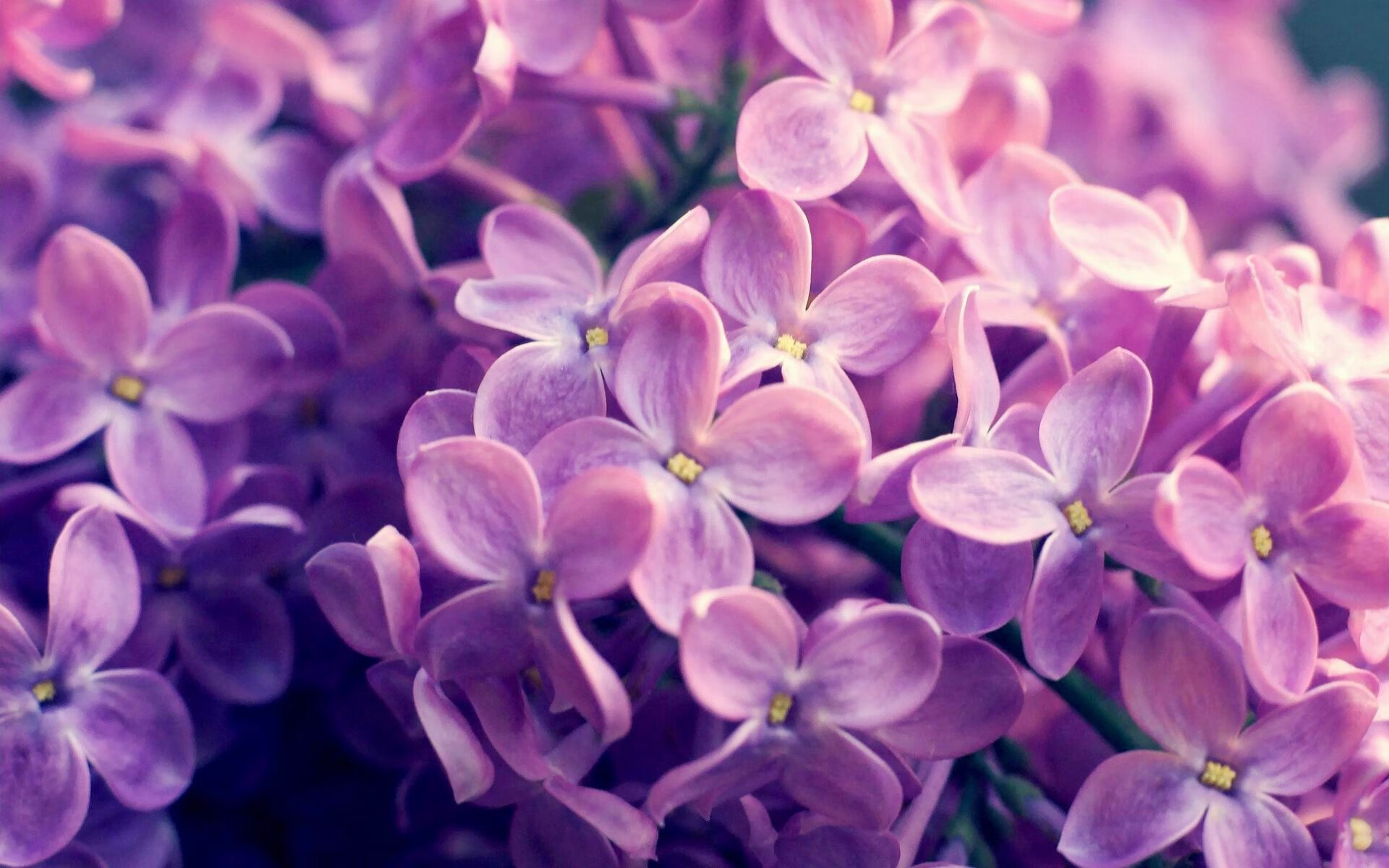 各国男子与女子足球联合训练营助力水平提升，足球男女差距